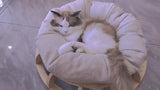 Wooden Multi-Function Cat and Dog Nest Bed