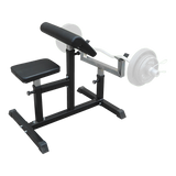 Preacher Curl Bench Weights Commercial Bicep Arms - Top-Down View