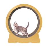 Cat Running Wheel w/ Carpet Runway Cat Exercise Wheel for Fitness Cat Treadmill