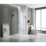 100x100cm Double Door Corner Shower with Black Channels and SS Hinges, Round Handle