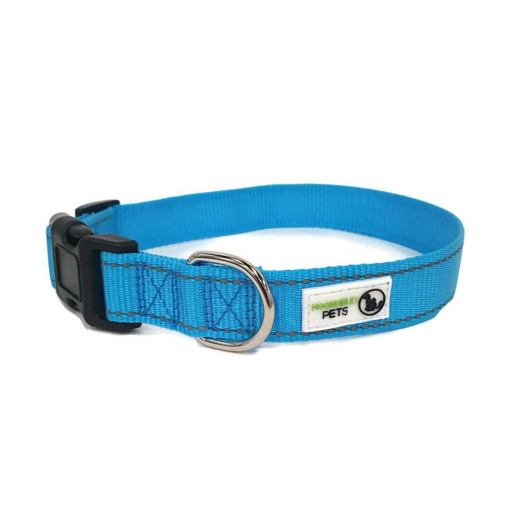 Nylon w/Reflective Stitching Dog Collar Small Light Blue - Moondidley Pets