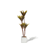 Lifelike Artificial Cordyline Tree