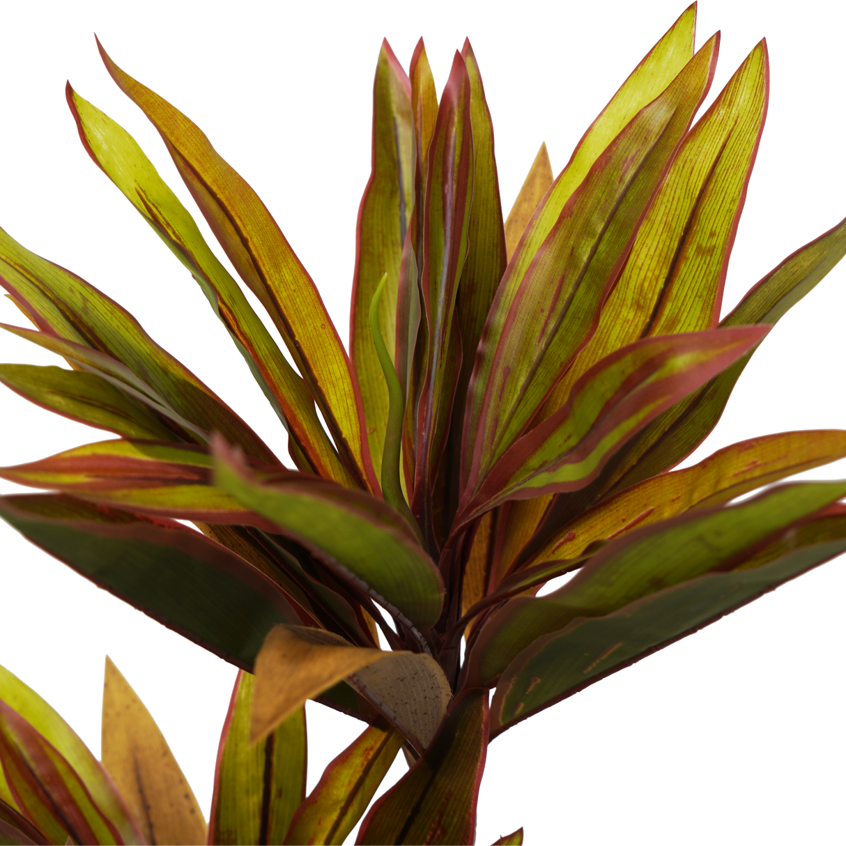 Lifelike Artificial Cordyline Tree