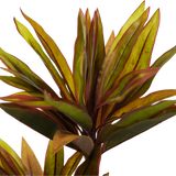 Lifelike Artificial Cordyline Tree