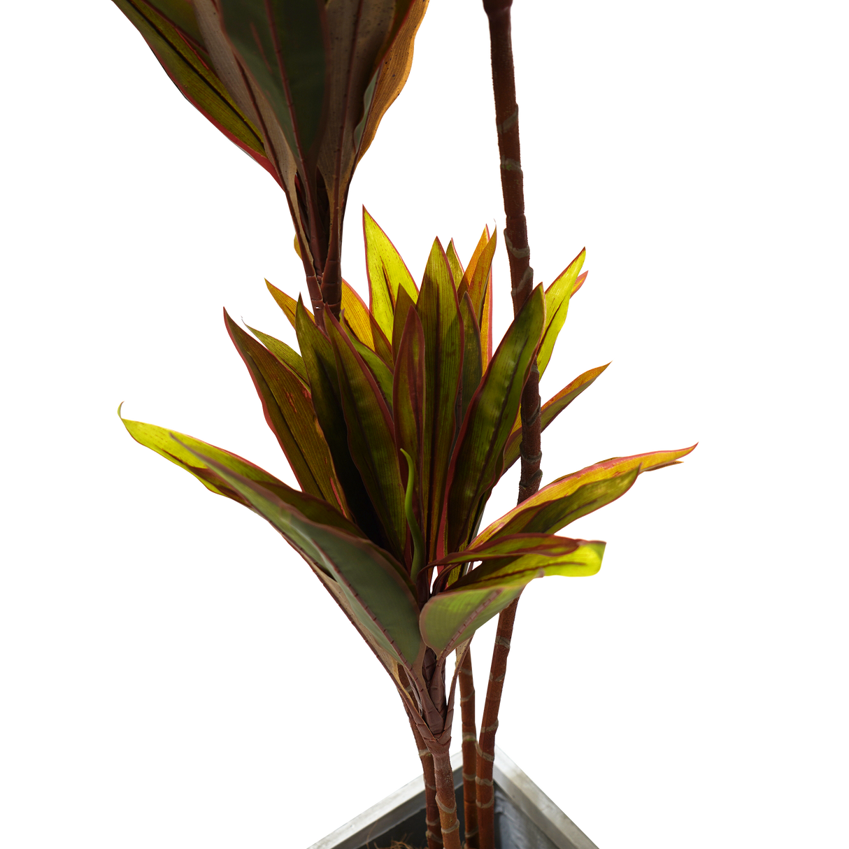 Lifelike Artificial Cordyline Tree