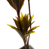 Lifelike Artificial Cordyline Tree