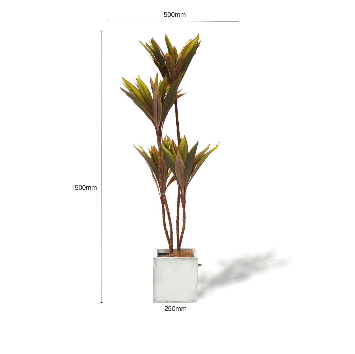 Lifelike Artificial Cordyline Tree