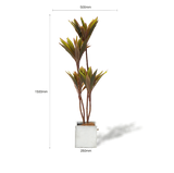 Lifelike Artificial Cordyline Tree