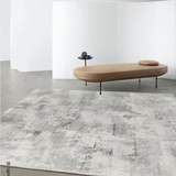 Luxurious Soft Grey Microfiber Area Rug 200cm x 300cm