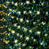 150 LED Solar Decorative Net Lights - 4 Color Options for Festive Occasions - Rear View