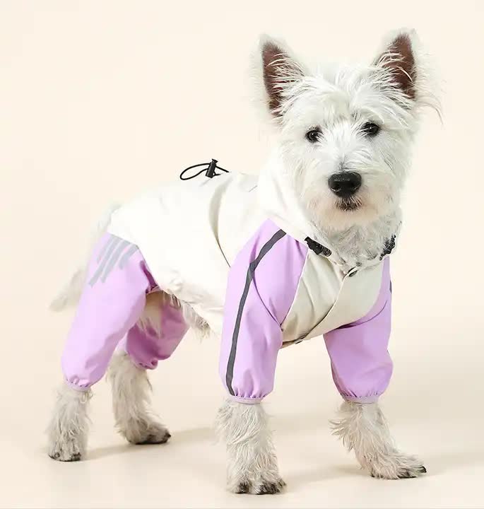 Waterproof Dog Raincoat with Hidden Leash Hole - Windproof and Comfortable for Outdoor Walks, Size:M (Back Length 25cm/9.84in, Bra 38cm/14.96in) Purple