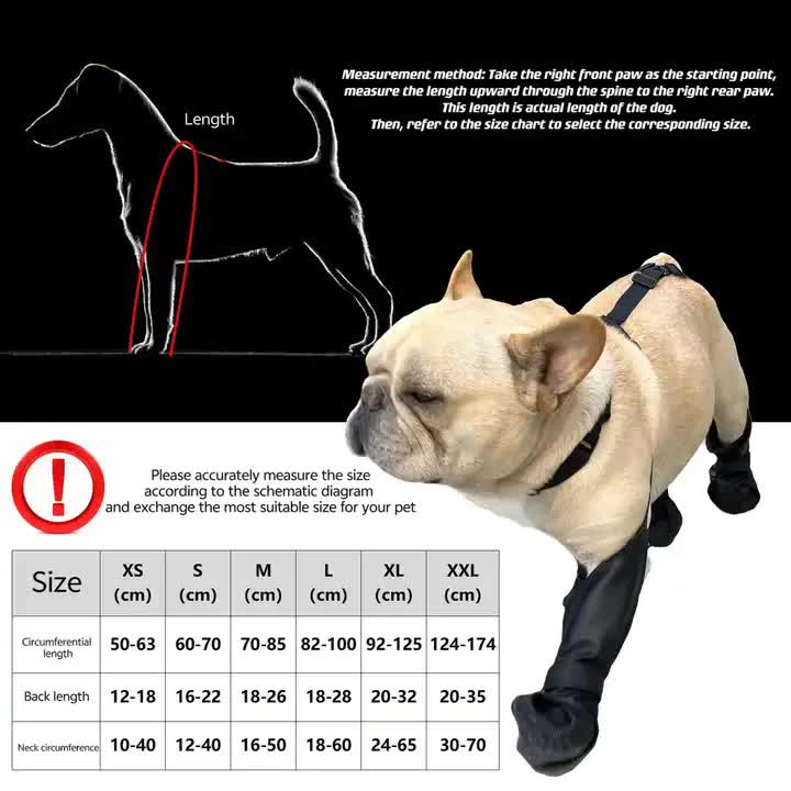 XS Waterproof Non-Slip Dog Shoes - All-Season Dog Boots for Protection, Anti-Slip Pet Footwear, Durable and Comfortable