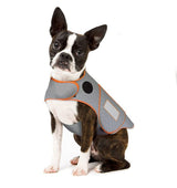 XXS Adjustable Autumn/Winter Dog Coat - Warm and Stylish Pet Jacket for Cold Weather, Comfortable and Customizable Fit