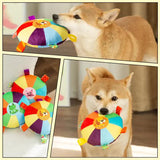 3 pcs dog pattem Plush Dog Chew Toy with Sound | Interactive Frisbee for Teeth Grinding & Play | Durable Non-Toxic Pet Toy