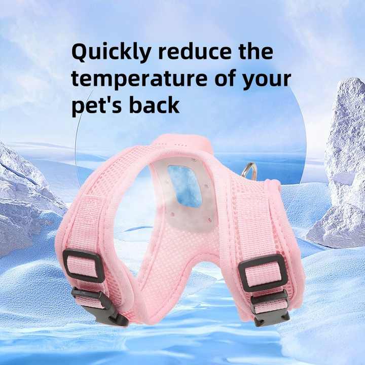 Size S Green Pet Cooling Harness  LED Lights & Leash – Summer Relief for Small Dogs and Cats