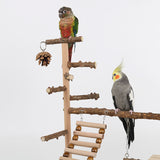 Natural Wooden Bird Play Stand - Multi-Level Parrot Perch with Toys & Ladder