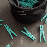 Peg Bag with Carabineer and 50 Pegs set - Top-Down View