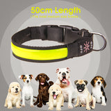 50cm Rechargeable Light-up LED Pet Collar - 45-Degree Angle