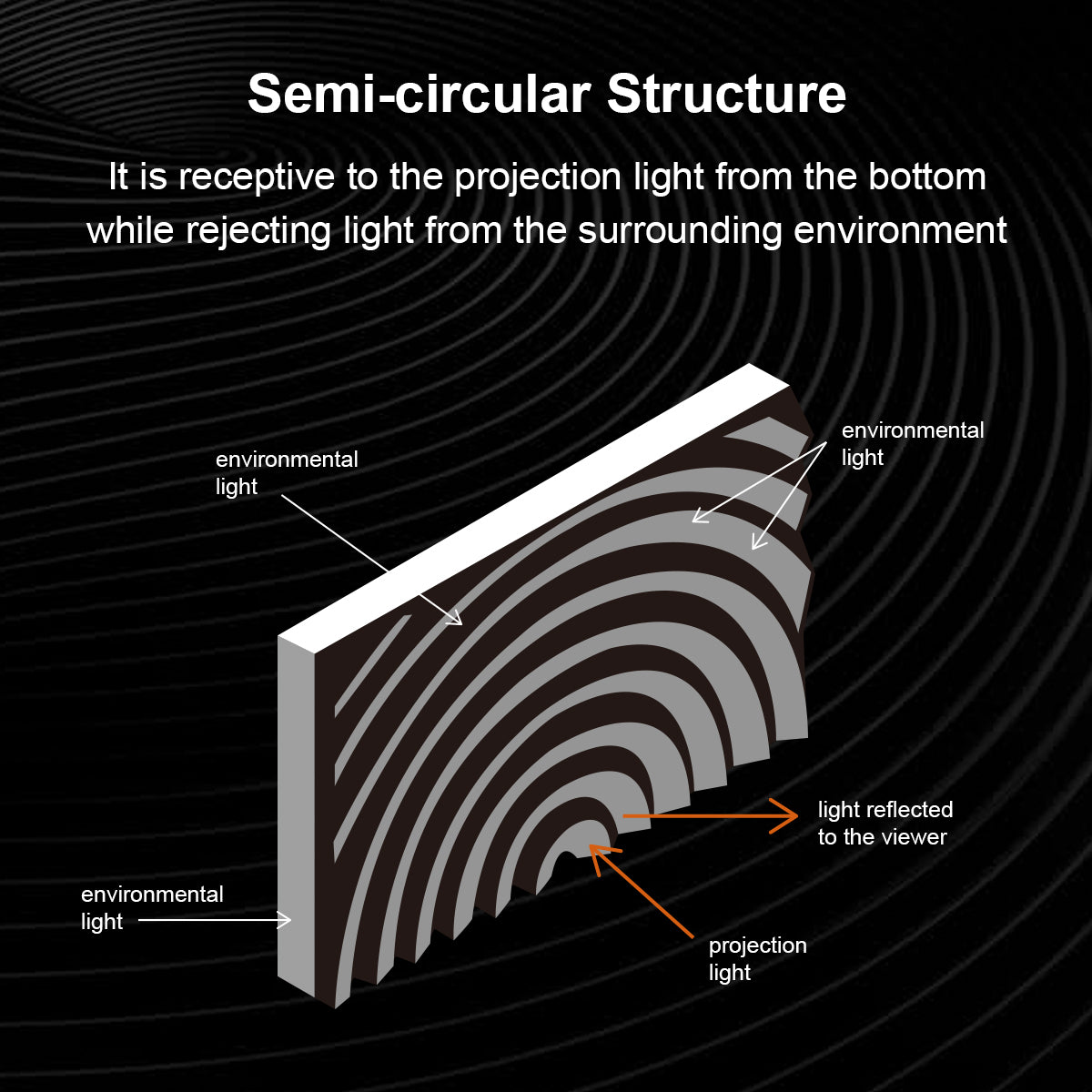 Winways Medium Throw ALR 80'' Rollable Fresnel Screen