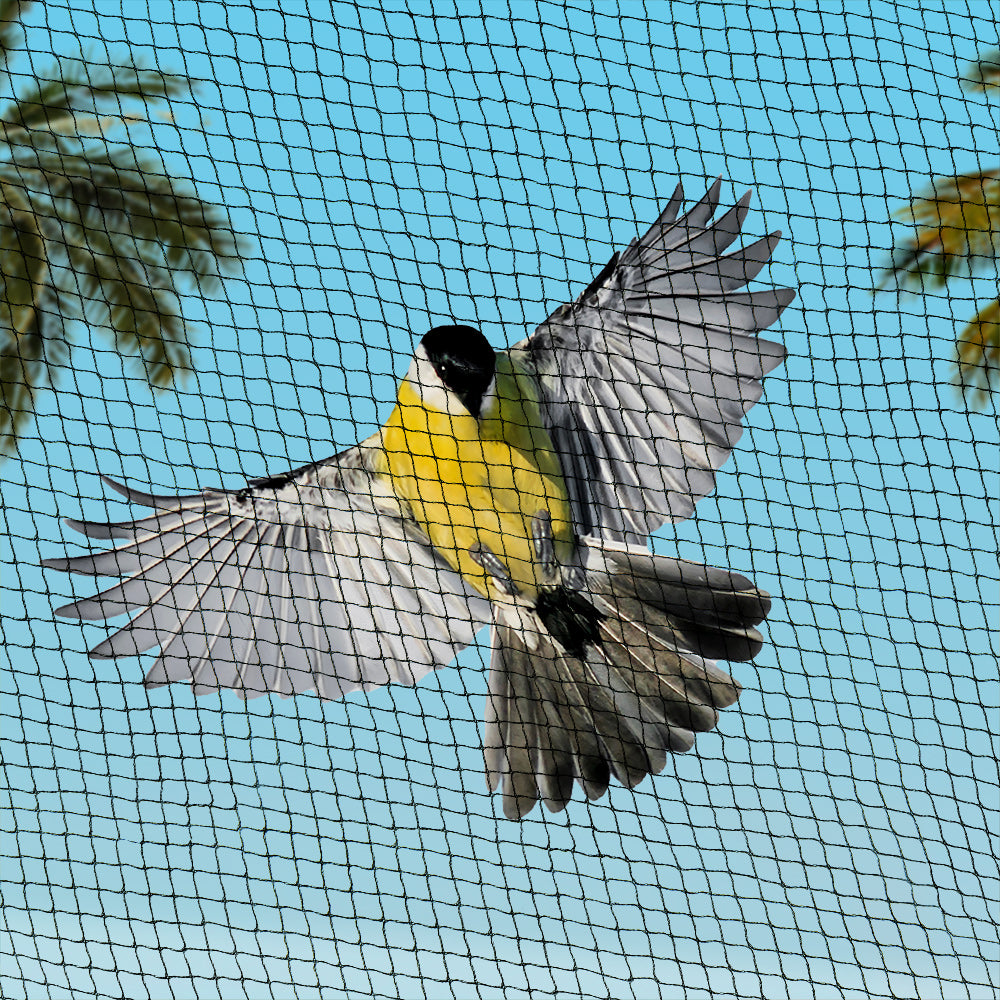 Ultimate 10m x 10m Heavy-Duty Bird Protection Netting - 5mm Mesh for Safeguarding Plants and Fruits