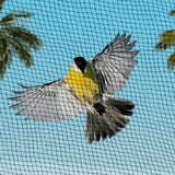 Ultimate 10m x 10m Heavy-Duty Bird Protection Netting - 5mm Mesh for Safeguarding Plants and Fruits - Low Angle