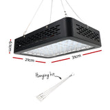 Full Spectrum 600W LED Grow Light for Optimal Plant Growth