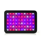 Full Spectrum 600W LED Grow Light for Optimal Plant Growth