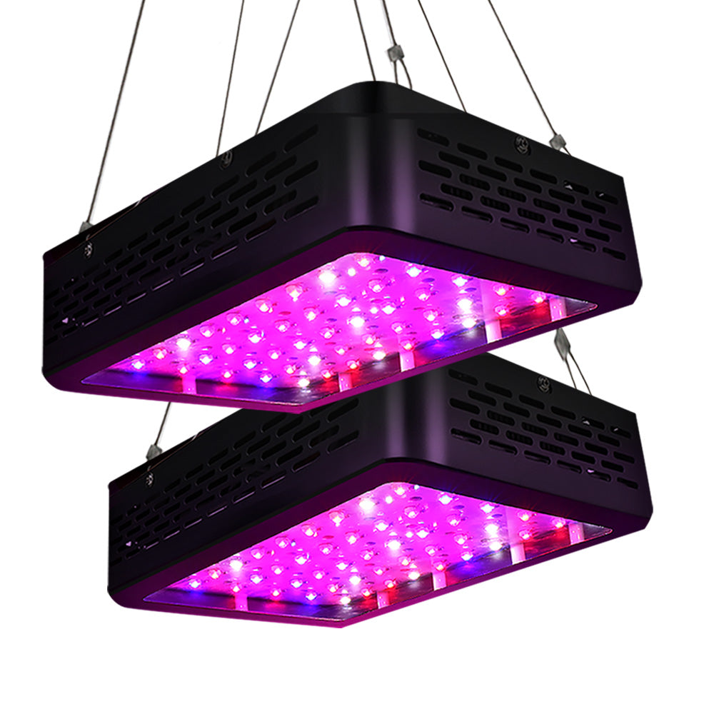 Greenfingers Dual 300W Full Spectrum LED Grow Light Kit for Indoor Hydroponics