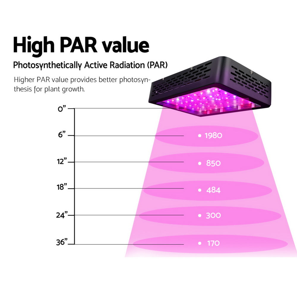 Greenfingers Dual 300W Full Spectrum LED Grow Light Kit for Indoor Hydroponics