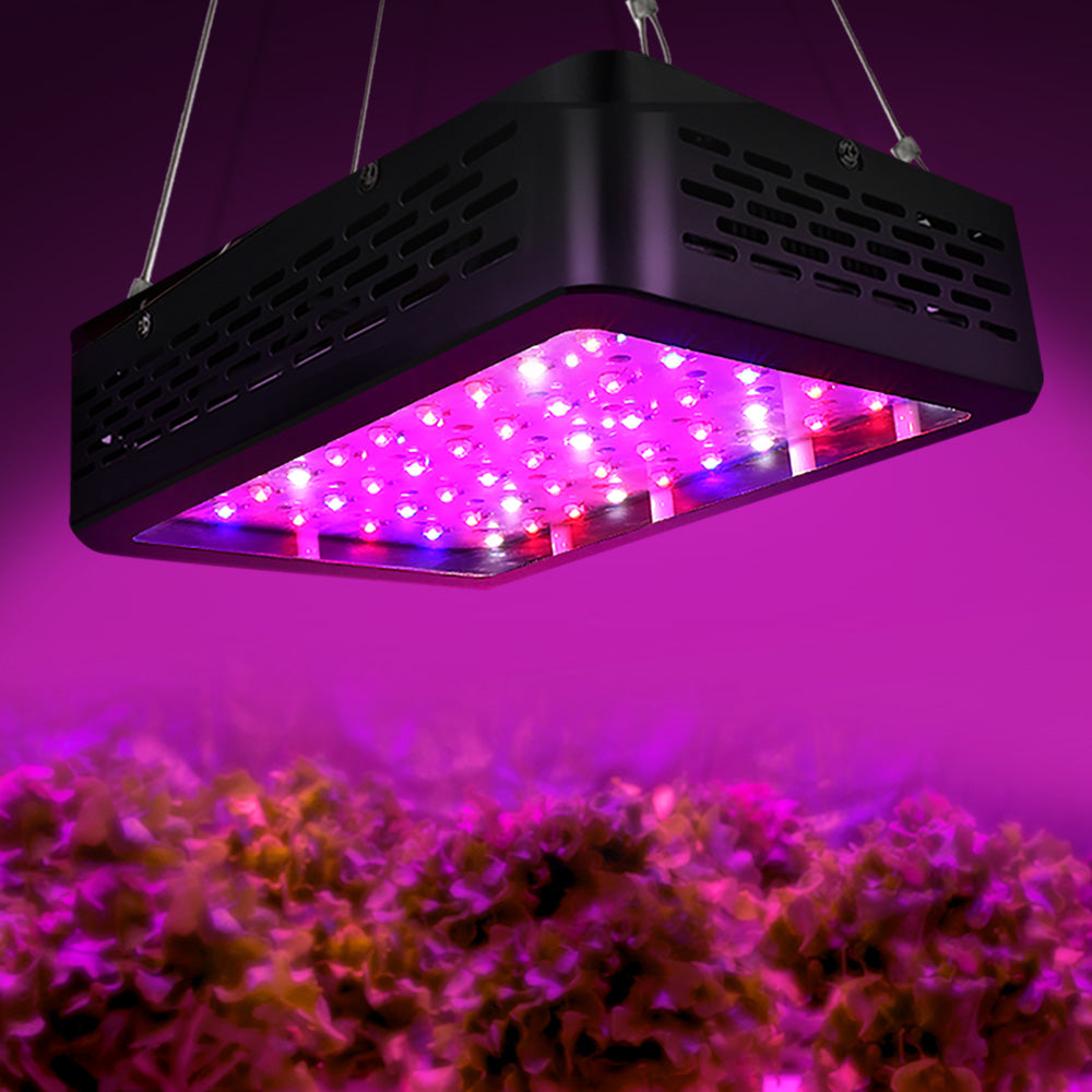 Greenfingers Dual 300W Full Spectrum LED Grow Light Kit for Indoor Hydroponics