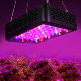 Greenfingers Dual 300W Full Spectrum LED Grow Light Kit for Indoor Hydroponics - Low Angle