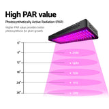 Full Spectrum 2000W LED Grow Light for Optimal Plant Growth