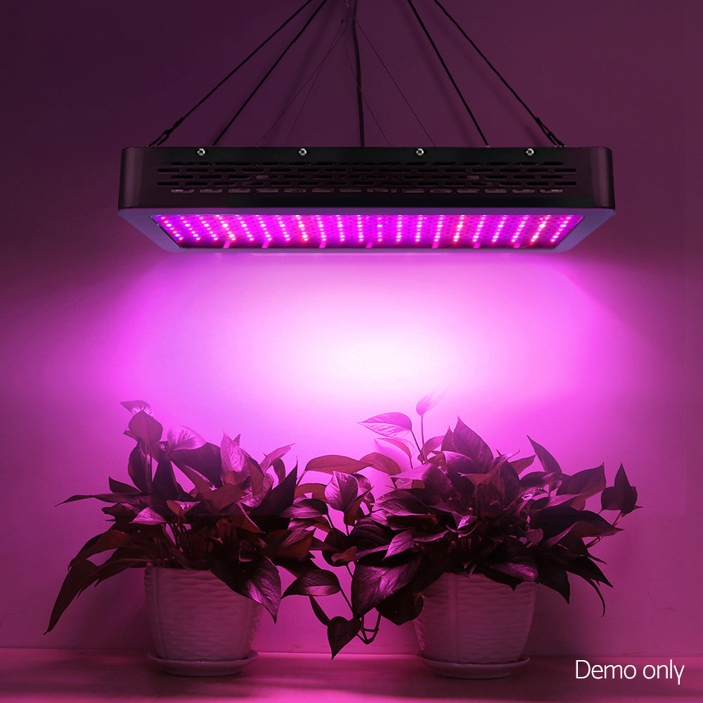 Full Spectrum 2000W LED Grow Light for Optimal Plant Growth