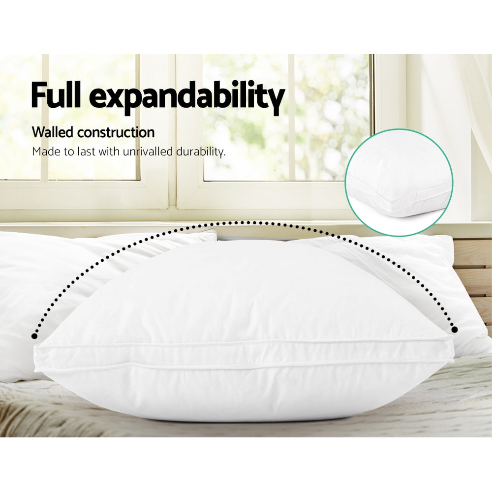 Premium Duck Feather Down Twin Pillows for Unmatched Sleeping Bliss