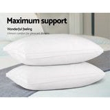 Plush Goose Feather Down Twin Pillows Set