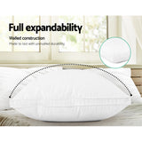 Plush Goose Feather Down Twin Pillows Set