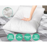 Plush Goose Feather Down Twin Pillows Set