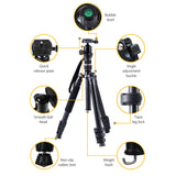 2-in-1 Versatile Camera Tripod and Monopod with Ball Head for DSLR