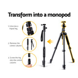 2-in-1 Versatile Camera Tripod and Monopod with Ball Head for DSLR