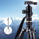 2-in-1 Versatile Camera Tripod and Monopod with Ball Head for DSLR