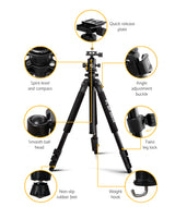 173cm Professional Magnesium Alloy Tripod with Smooth Ball Head for Digital Cameras and Camcorders