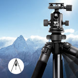 173cm Professional Magnesium Alloy Tripod with Smooth Ball Head for Digital Cameras and Camcorders