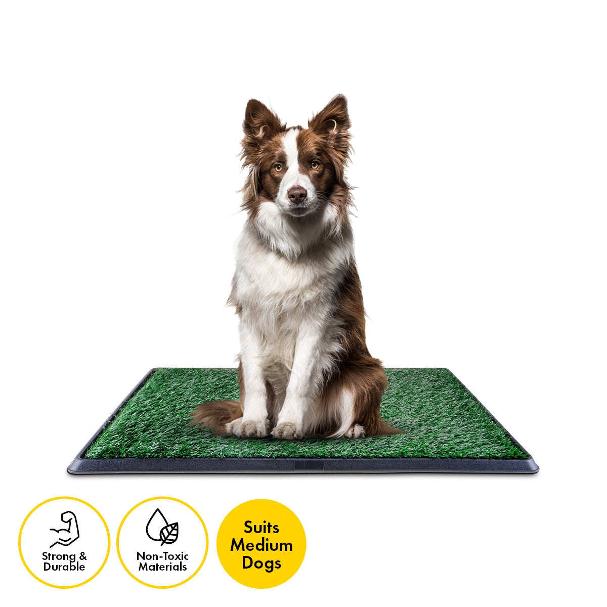 Portable 3-Layer Dog Potty Trainer with Odour Control – 76 x 50cm